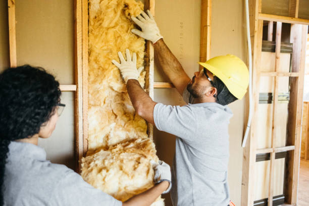 Best Commercial Insulation Contractor  in Bethel, AK