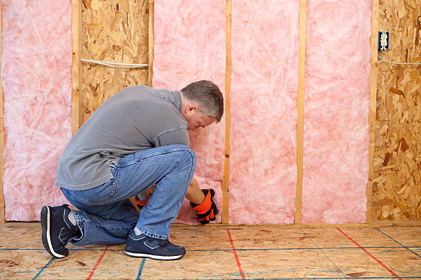 Best Insulation Contractors for Homes  in Bethel, AK