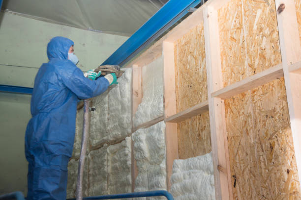 Best Insulation Inspection Services  in Bethel, AK